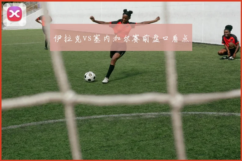 伊拉克vs塞内加尔赛前盘口看点